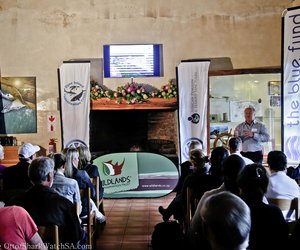 Sooispit vir Pikkewyne